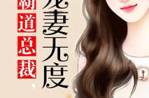 宠妻无度 小说,宠妻无度的爱情旅程
