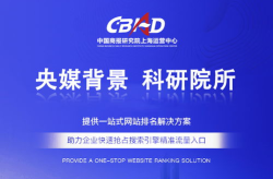 上海企业推广,上海企业推广策略与市场拓展全解析