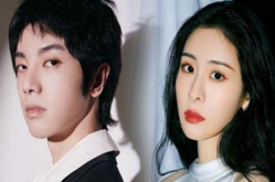 娱乐圈吃瓜大集合的小说