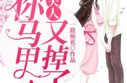 腹黑陆总你家夫人马甲a爆了,你家夫人马甲横扫娱乐圈